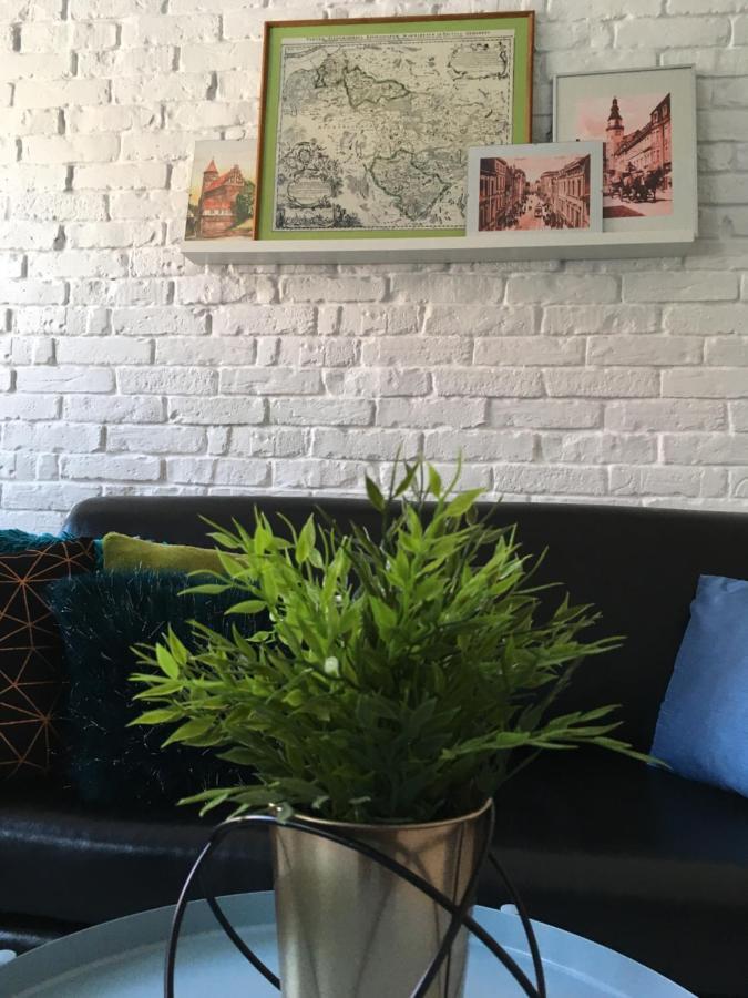 Apartament Zuzia Ольштин Екстер'єр фото